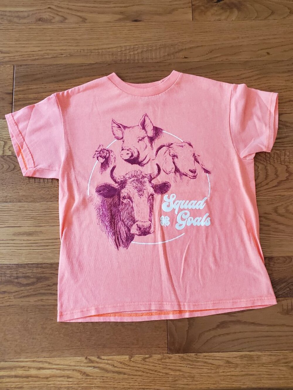 2 for $15 | National 4-H Council Youth Small Short Sleeved Squad Goals Shirt